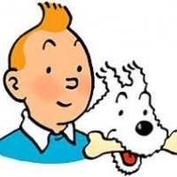 Visites Guidées - Sur les traces de Tintin