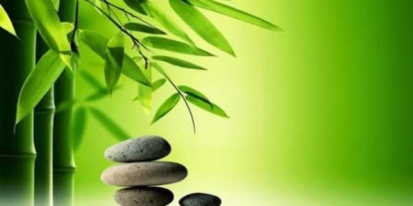 Atelier Feng Shui