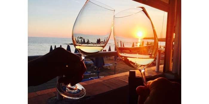 Voyage par le vin