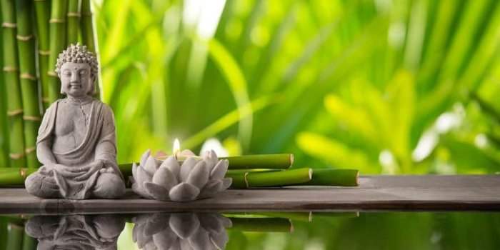 Webinaire : Découverte du Feng Shui 