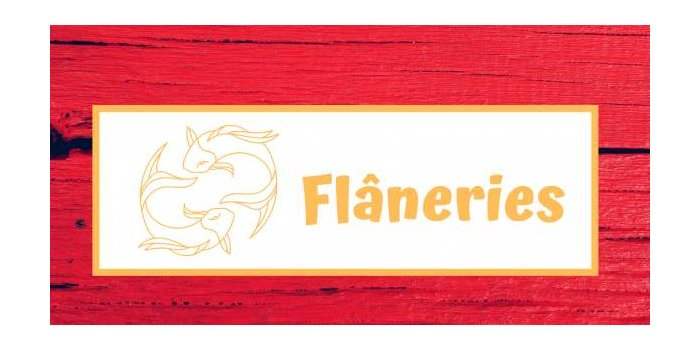 Flâneries : Musée des expositions universelles