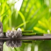 Webinaire : Découverte du Feng Shui 